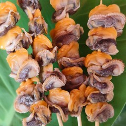 หอยแครง