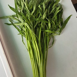 ผักบุ้งจีน