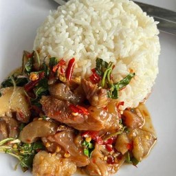 กะเพราเอ็นแก้วราดข้าว