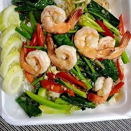 กุ้งผัดคะน้าราดข้าว