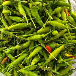 พริกขี้หนูสวน