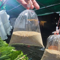 ข้าวคั่ว