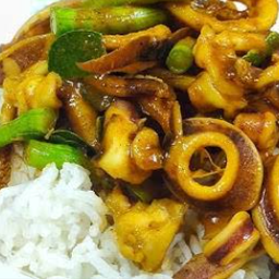 ผัดพริกแกงปลาหมึกราดข้าว