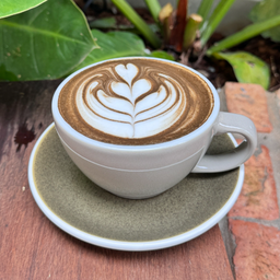 โฮจิฉะ ร้อน