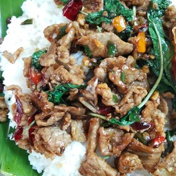 กะเพรา อาไซ