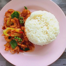 ผัดเผ็ดหมูป่าราดข้าว