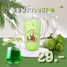 นมพร้าวมรกต