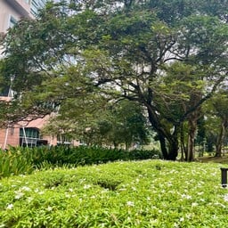 KLCC เคแอลซีซี พาร์ค