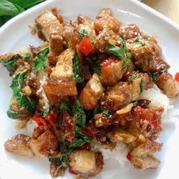 D7 ข้าว+กระเพราหมูกรอบ/ปลาหมึก/กุ้ง