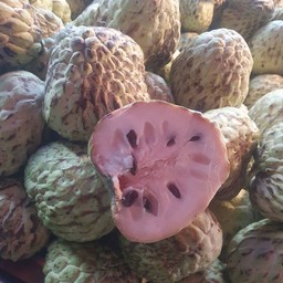 อร่อย108-บ้านทุ่ง