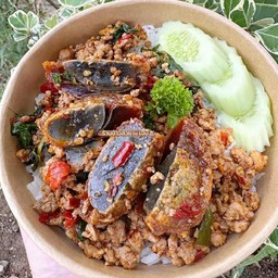 ข้าว กะเพรา ไข่เหยี่ยวม้า หมูสับ