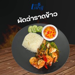 ผัดฉ่า ราดข้าว