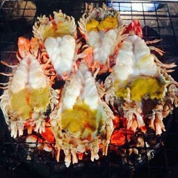 กุ้งแม่น้ำ 5 ตัวโล
