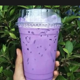เผือกเย็น