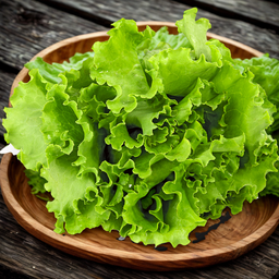 ผักกาดหอม