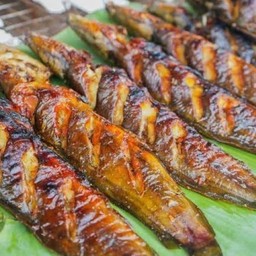 ปลาดุกย่าง