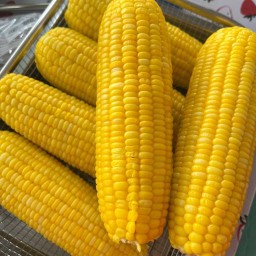 ข้าวโพดคลุกเนย&ไส้กรอกอีสานทอด