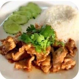 ข้าวราดหมูกระเทียม