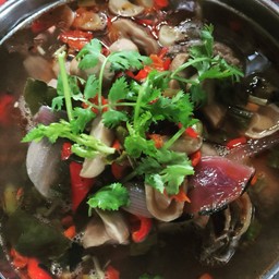 ต้มโคล้ง ถ้วย