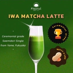 (Ceremonial) Iwa matcha latte