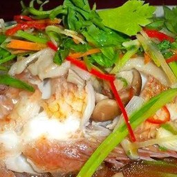 ปลาทับทิมนึ่งซีอิ้ว