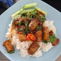 ตุ๋นตุ๋นพุงกาง (ก๋วยเตี๋ยวไก่ตุ๋นมะระ)/อาหารตามสั่ง แม่โจ้