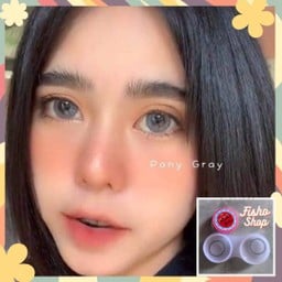 Pony gray