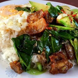 ข้าวราดคะน้าหมูกรอบ