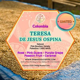 Americano hot ( Teresa de jesus ospina )