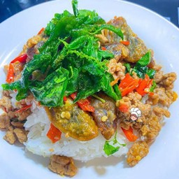 ข้าวราดกระเพราไข่เหยี่ยวม้า