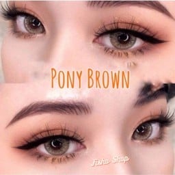 Pony brown