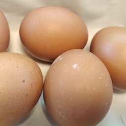 ส้มตำสุดแซ่บ