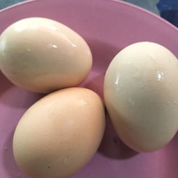 ไข่ข้าว