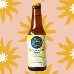 Three Goats 10’000 Miles Hops Kombucha