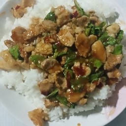 ข้าวกระเพราหมูชิ้น