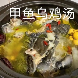 ตะพาบตุ๋นไก่ดำ甲鱼+黑乌鸡