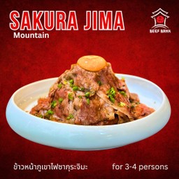 Sakurajima Mountain Don