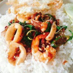 กะเพรากุ้ง/หมึก/เนื้อ/ทะเล/รวม