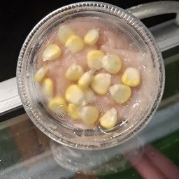 ชาบูเที่ยงคืน(ลูกชิ้นหมูฟอย)