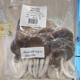 เห็ดนางฟ้าภูฐาน 200 กรัม