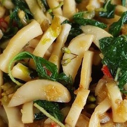 กระเพราเห็ดราดข้าว