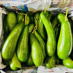 อาโวคาโดนมหมี พันธุ์ 304 ปั่นอร่อย