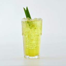 น้ำเก๊กฮวย