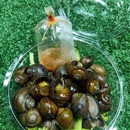 หอยแมลงภู่เตาถ่าน ตลาดสดรุ่งเจริญ