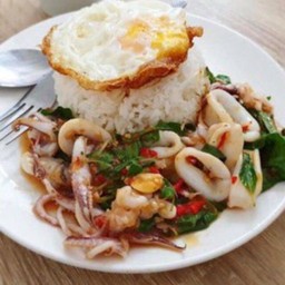 ข้าวกระเพราหมึก+ไข่ดาว