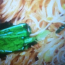 ผัดซีอิ๊วเส้นหมี่ขาวเจ