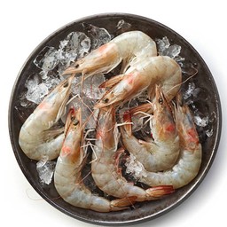 เพิ่ม กุ้ง