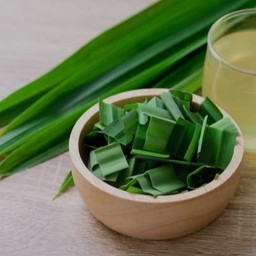 น้ำใบเตย...เพื่อสุขภาพของทุกคน