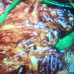 ผัดซีอิ๊ววุ่นเส้นเจ