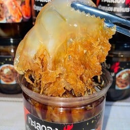 แมงกะพรุนปีกนางฟ้า